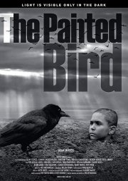 Locandina di The Painted Bird