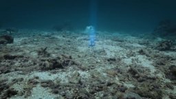 Zombie Tidal Wave - Trailer