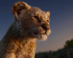 Il Re Leone: svelata l'unica ripresa live action del film Disney!