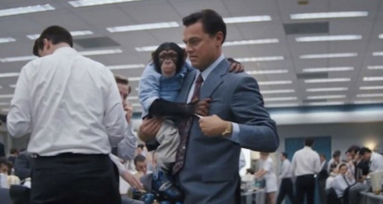 The Wolf Of Wall Street Il Genio Dello Streaming