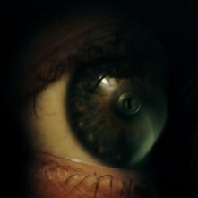 The Nest - Il Nido: un'immagine del film