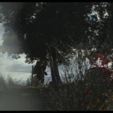 Wilcox: una scena del film