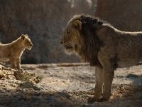 Il Re Leone: le differenze tra il remake 2019 e il cartoon Disney