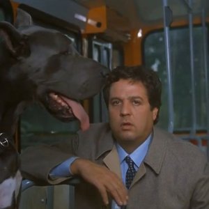 La casa stregata: Renato Pozzetto con il cane Gaetano nel film