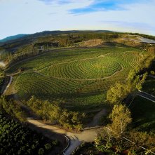 La fattoria dei nostri sogni: un'immagine del documentario