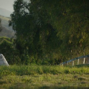 La fattoria dei nostri sogni: una sequenza del film