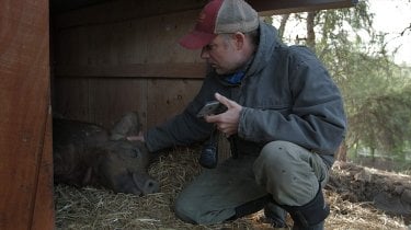 La Fattoria Dei Nostri Sogni 3