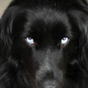 La fattoria dei nostri sogni: una scena del film