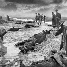 The Painted Bird: un'immagine del film