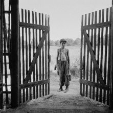 The Painted Bird: una scena del film