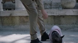 Il Colpo Del Cane - Trailer Ufficiale