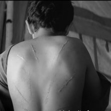 The Painted Bird: un'immagine drammatica del film