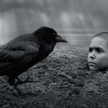 The Painted Bird: una scena del film