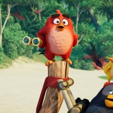 Angry Birds 2: Nemici Amici per Sempre, una sequenza del film animato