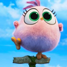 Angry Birds 2: Nemici Amici per Sempre, una dei piccoli protagonisti