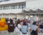 Venezia 2019: manifestanti occupano il red carpet
