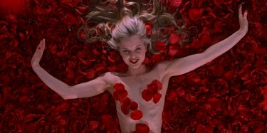 American Beauty