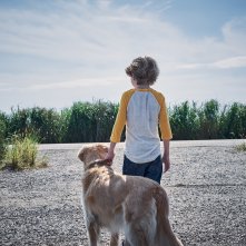 In The Tall Grass: una foto del film