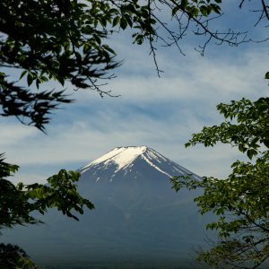 Van Gogh e il Giappone: il monte Fuji