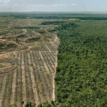 Antropocene - L'epoca umana: un momento del film