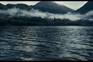 Antlers -  Trailer Italiano