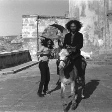 1968 - Gli Uccelli: Una storia mai raccontata: una scena del documentario