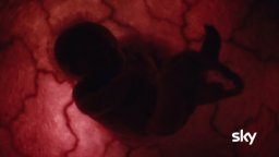 Euphoria - Clip in italiano