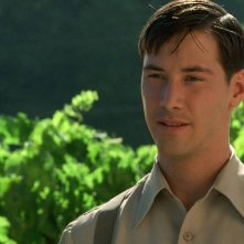 Il profumo del mosto selvatico: Keanu Reeves in una scena