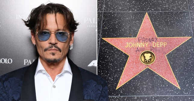 Johnny Depp Stella