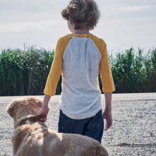 Nell'erba alta: un momento del film