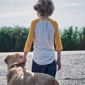 Nell'erba alta: un momento del film