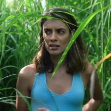 Nell'erba alta: una sequenza del film