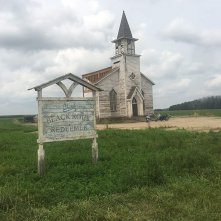 Nell'erba alta: una scena del film