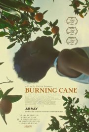 Locandina di Burning Cane
