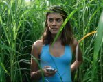 Nell’erba alta: l’horror Netflix che rende spaventose anche le piante