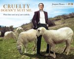 Joaquin Phoenix e la PETA: 'No alla lana, la tosatura delle pecore è crudele, ecco perché'