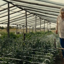 Pepe Mujica - Una vita suprema: Pepe Mujica in un'immagine del documentario