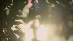 Don't Forget To Breathe  - Trailer Italiano Ufficiale Hd