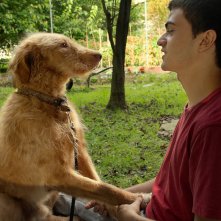 Diciassette: una sequenza