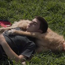 Diciassette: un'immagine del film