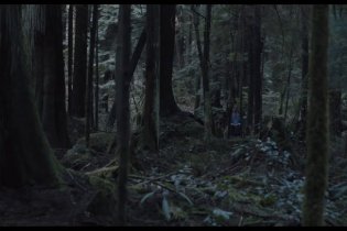 Trailer Italiano - Light Of My Life