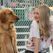 Attraverso i miei occhi: Amanda Seyfried in una scena del film