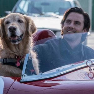 Attraverso i miei occhi: una scena del film con Milo Ventimiglia