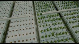 Little Joe - Trailer