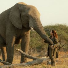 Un safari per Natale: Kristin Davis in una scena del film