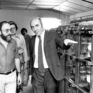 Vivere, che rischio: un'immagine del documentario