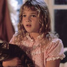 L'occhio del gatto: una scena del film