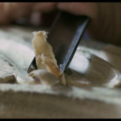 Tutti i video