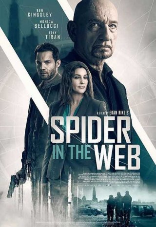 Locandina di Spider in the Web