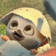 Ploi: un'immagine del film